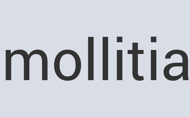 Mediocre Rubber Sunclipse