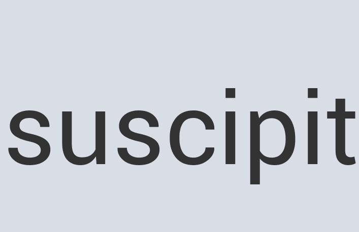 Rustic Aluminum Deoder Bear