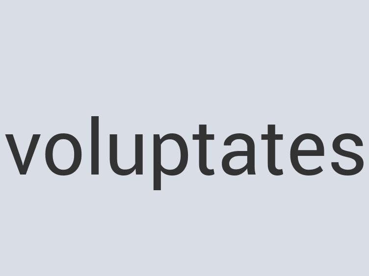 Ergonomic Marble Millenium Sandwich